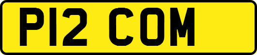 P12COM