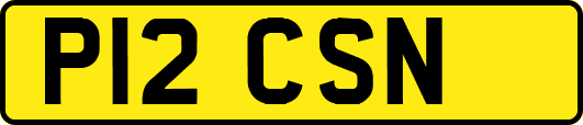 P12CSN