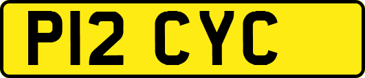 P12CYC