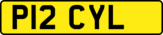 P12CYL