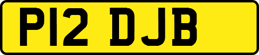 P12DJB
