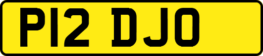 P12DJO