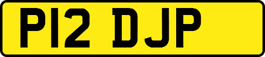 P12DJP