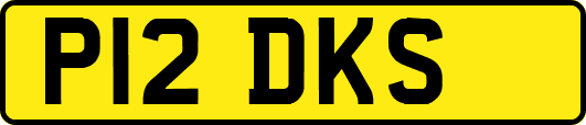 P12DKS