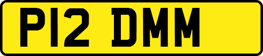 P12DMM