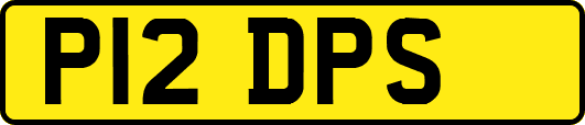 P12DPS