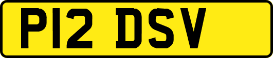 P12DSV