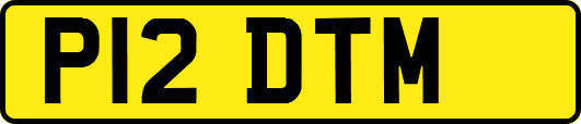 P12DTM