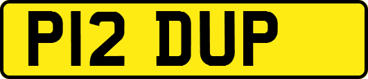 P12DUP