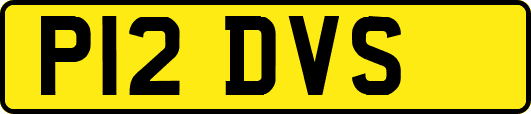 P12DVS