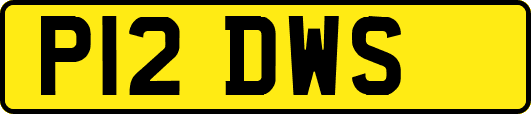 P12DWS