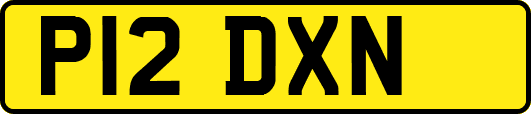 P12DXN