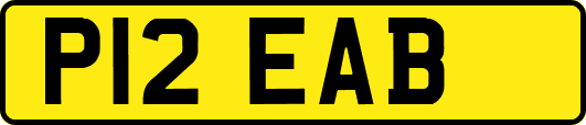 P12EAB