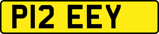 P12EEY