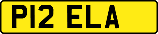 P12ELA