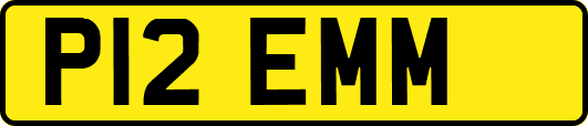 P12EMM