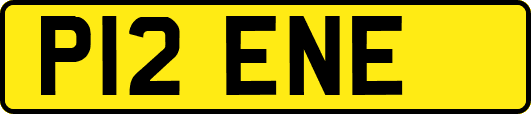 P12ENE