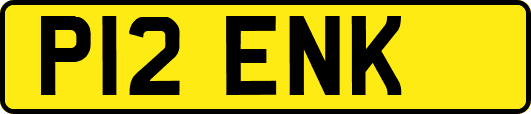 P12ENK