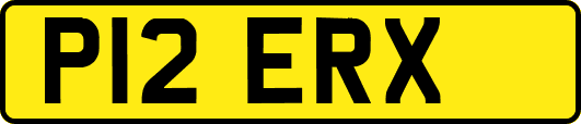 P12ERX