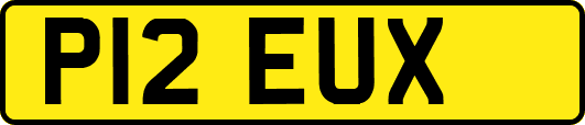 P12EUX