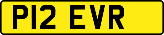 P12EVR