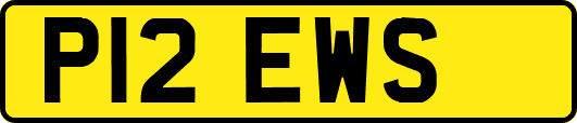 P12EWS