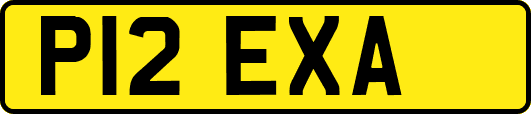 P12EXA