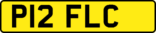 P12FLC