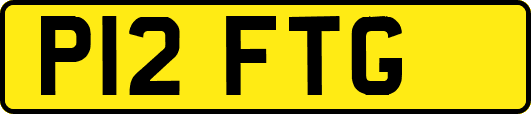 P12FTG