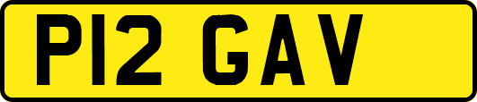 P12GAV