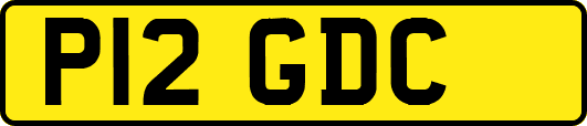 P12GDC