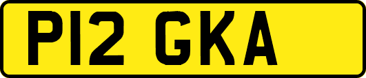 P12GKA