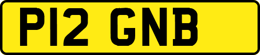 P12GNB