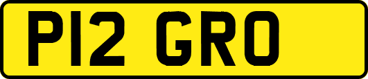 P12GRO