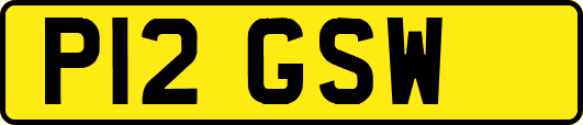 P12GSW
