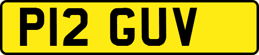 P12GUV