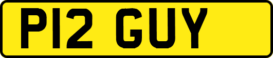 P12GUY