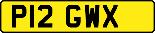 P12GWX