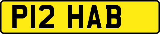 P12HAB