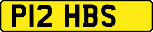 P12HBS