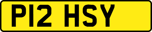 P12HSY
