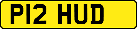 P12HUD