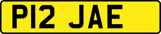 P12JAE