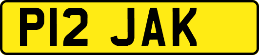 P12JAK