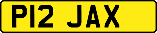 P12JAX