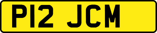 P12JCM