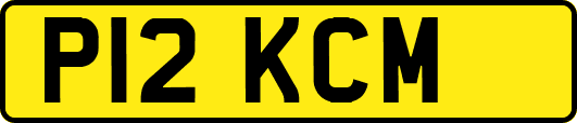 P12KCM
