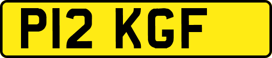 P12KGF