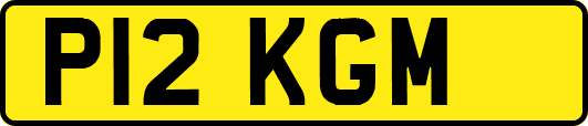 P12KGM