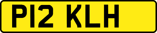 P12KLH